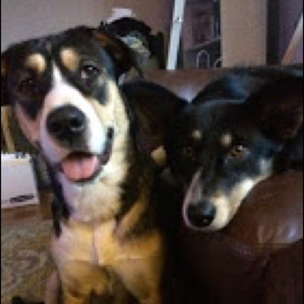 Meet your Posher, Chantel